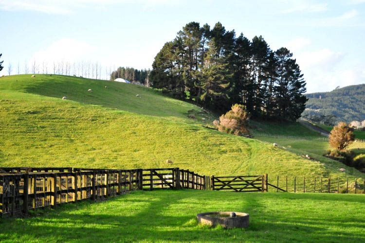 Farm Neuseeland