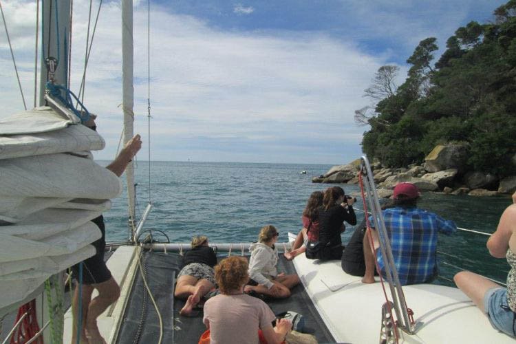 Segeltour Neuseeland