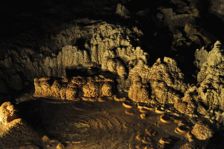 Waitomo Caves