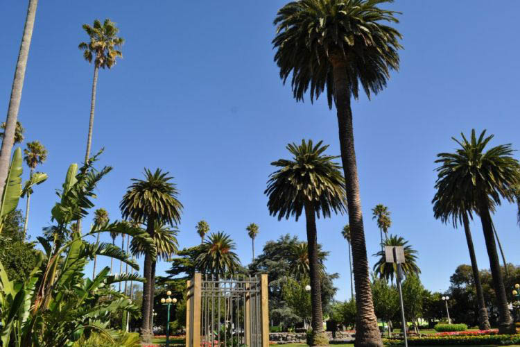 Wellington Innenstadt