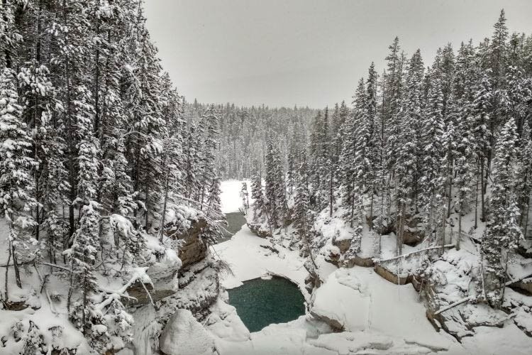 Jasper NP Sunwapta Falls