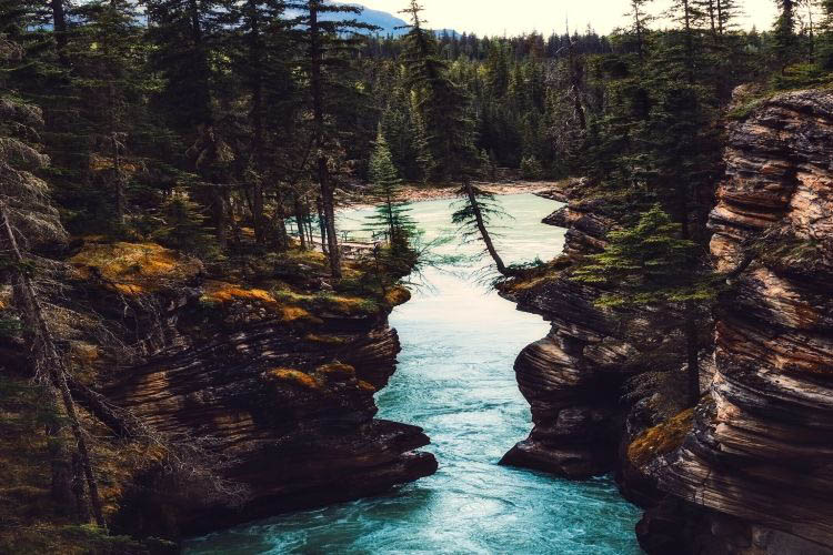 Nationalpark Kanada Canyon