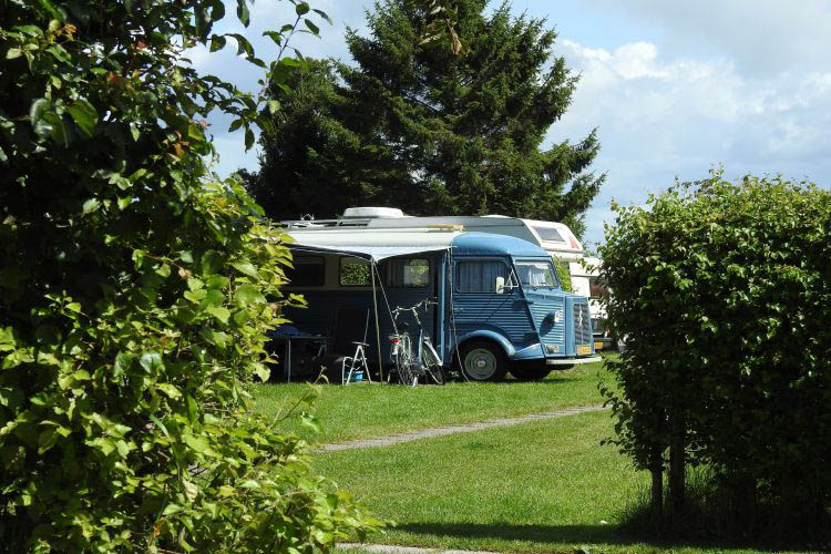 Camper im Gruenen