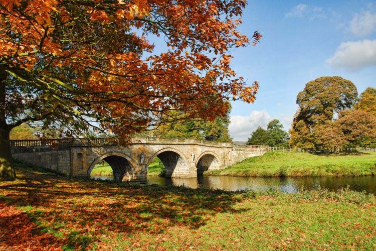 Fluss mit Bruecke im Herbst
