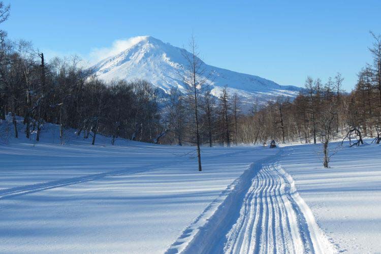 Skispur im Winter