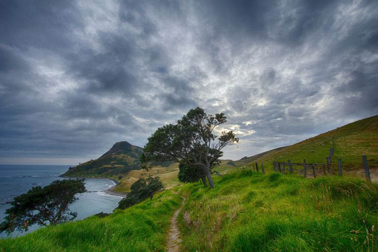 Kuestenwanderweg Neuseeland