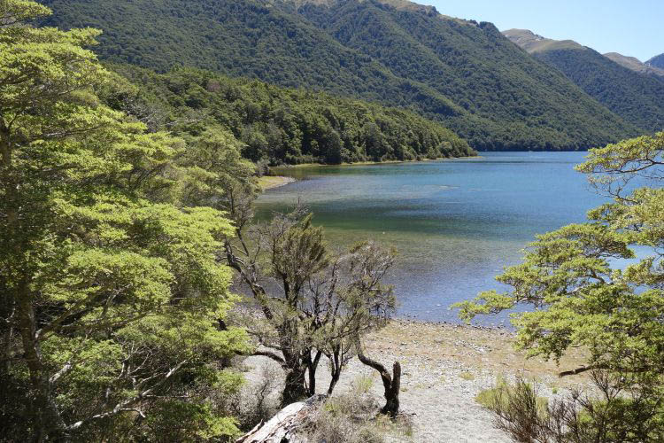 Neuseeland Kueste