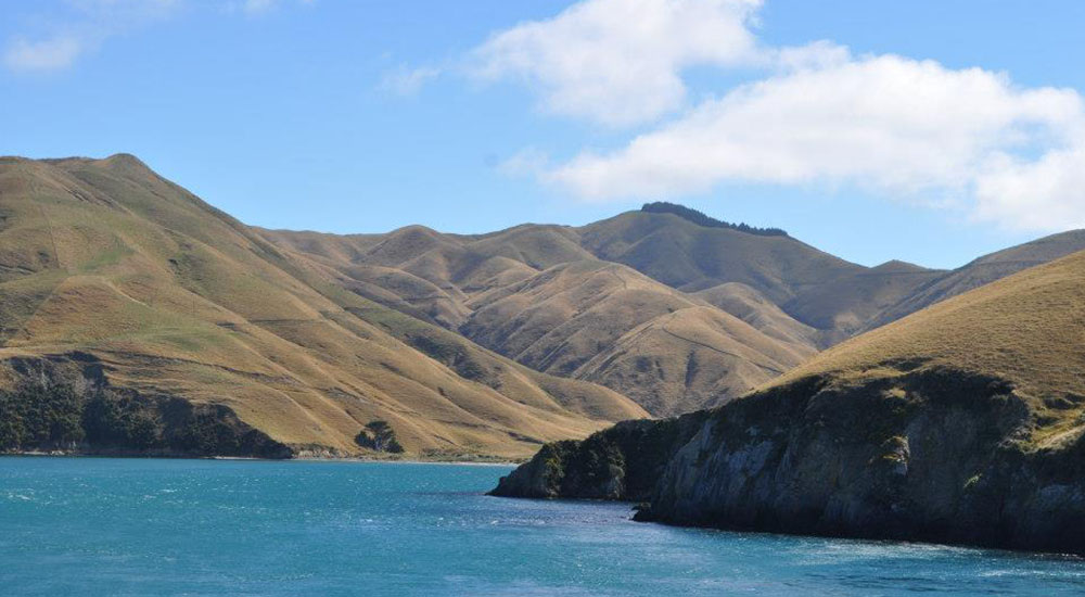 Neuseeland Ueberfahrt mit Faehre