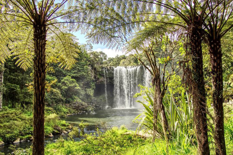 Wasserfall Neuseeland