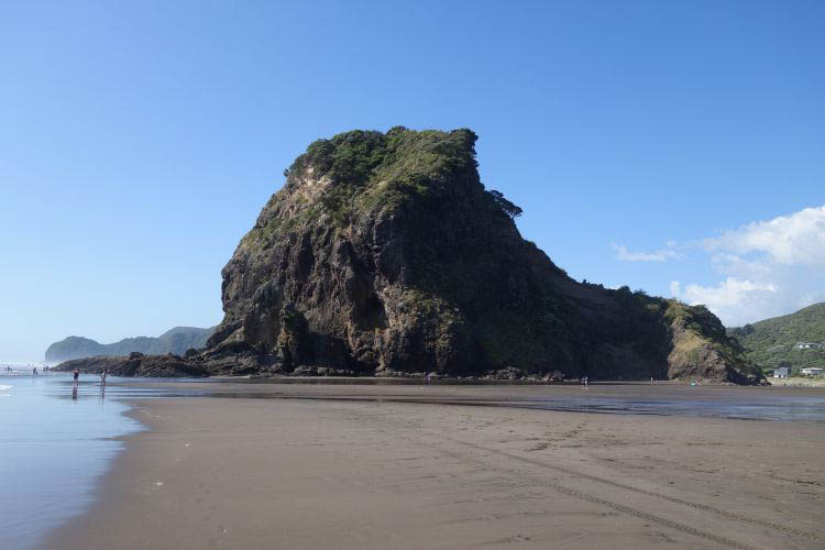 new zealand coromandel