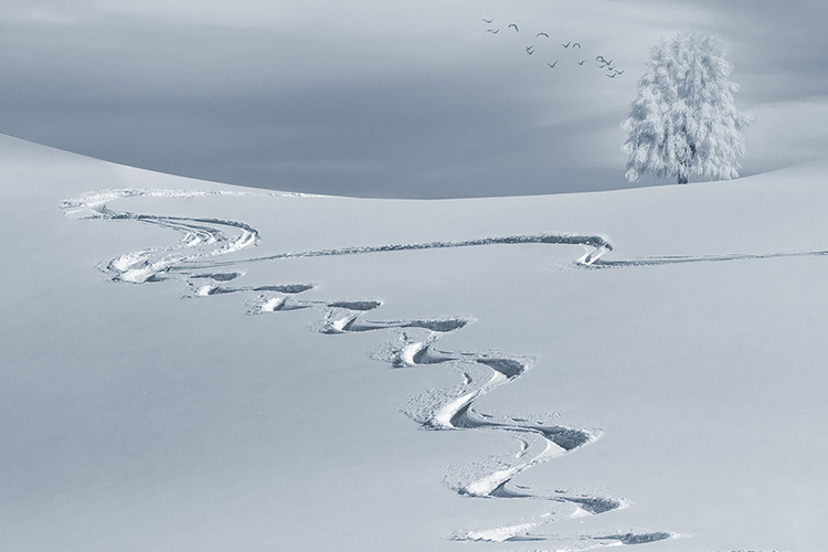Spuren im Schnee